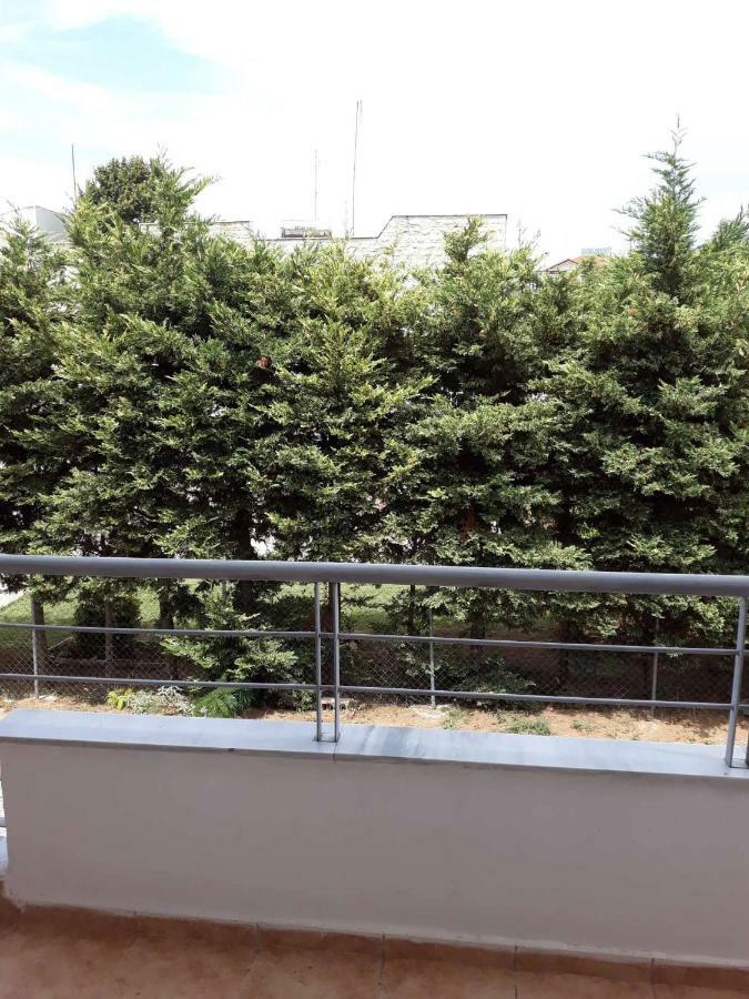 ネア・ミカニオーナTassosアパートメント エクステリア 写真